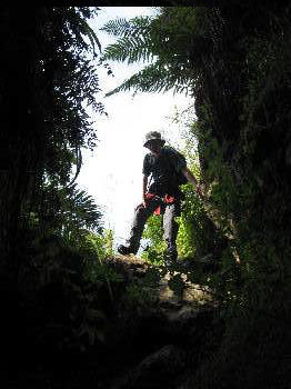 Looking in to Manchester Hole