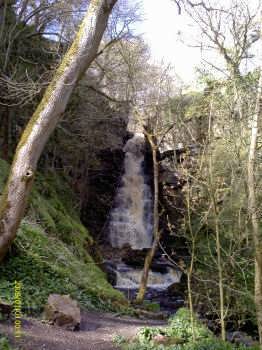 Mill gill Force