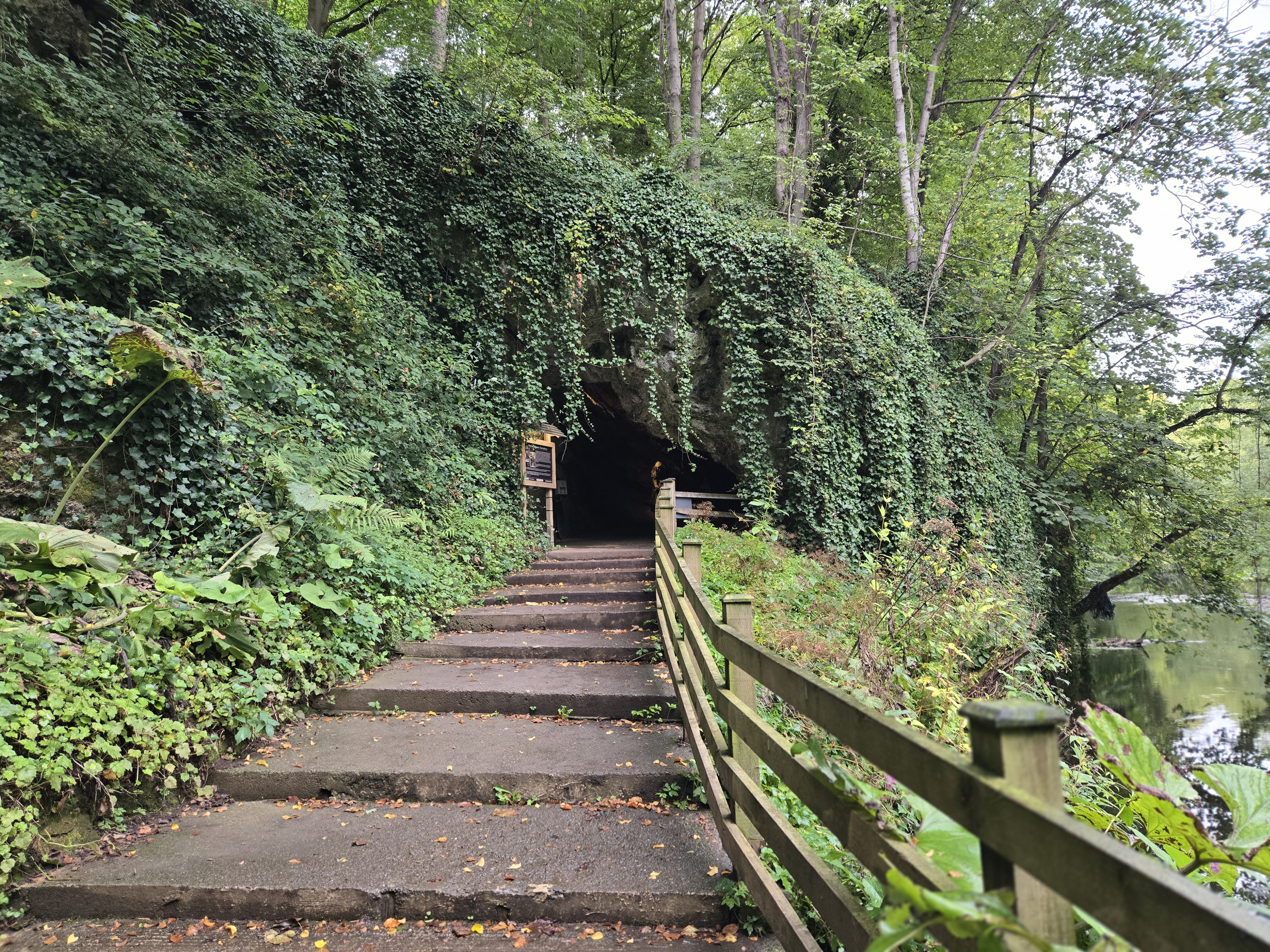 cave under trees at side of river