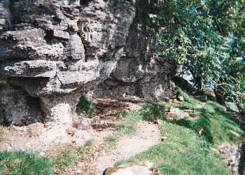 Nappa Scar