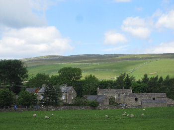 Newby and Newby Moss