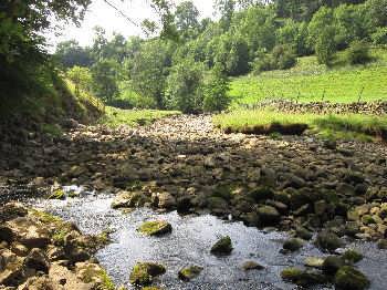 Nidd Sinks