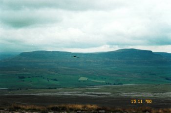 Pen-y-Ghent, viewed from the summit of Little Ingleborough