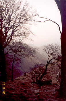 Scalebar Force, near Settle