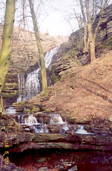 Scalebar Force in winter