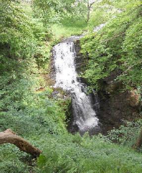 Scalebar Force in summer