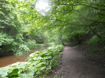 Skipton Woods