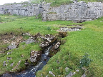 Resurgence of Skirwith Beck