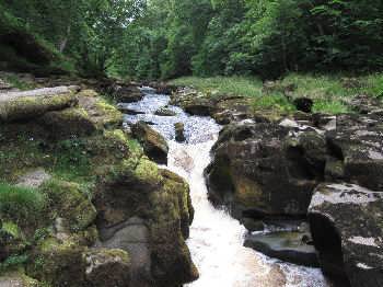 The Strid