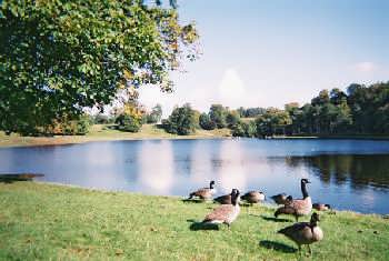 Studley Royal, Fountains Abbey, Yorkshire