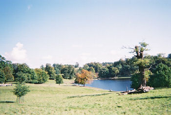 Studley Royal, Fountains Abbey, Yorkshire