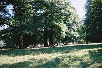 Studley Royal, Fountains Abbey, Yorkshire