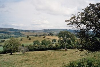 Teesdale