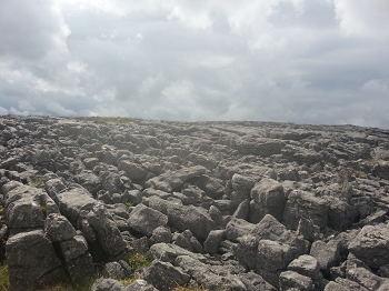 Limestone pavement on Thieves' Moss, Moughton