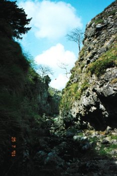 Trollers Gill, near Appletreewick