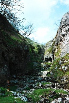 Troller's Gill