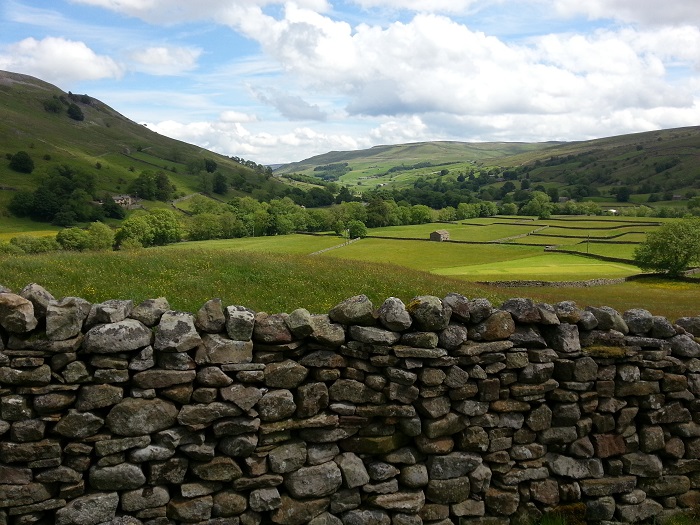 View of Upper Swaledale