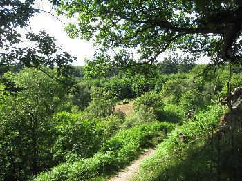 The Valley of Desolation