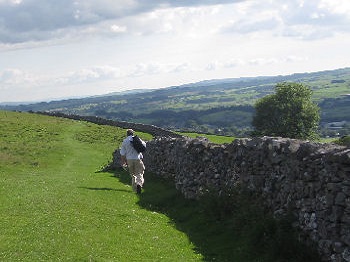 Walking in the Yorkshire Dales