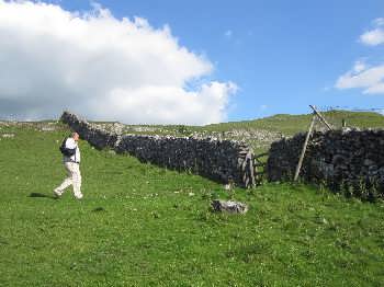 Walking in the Yorkshire Dales