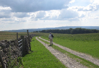 Walking in the Yorkshire Dales