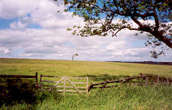 The Washburn Valley, Yorkshire Dales