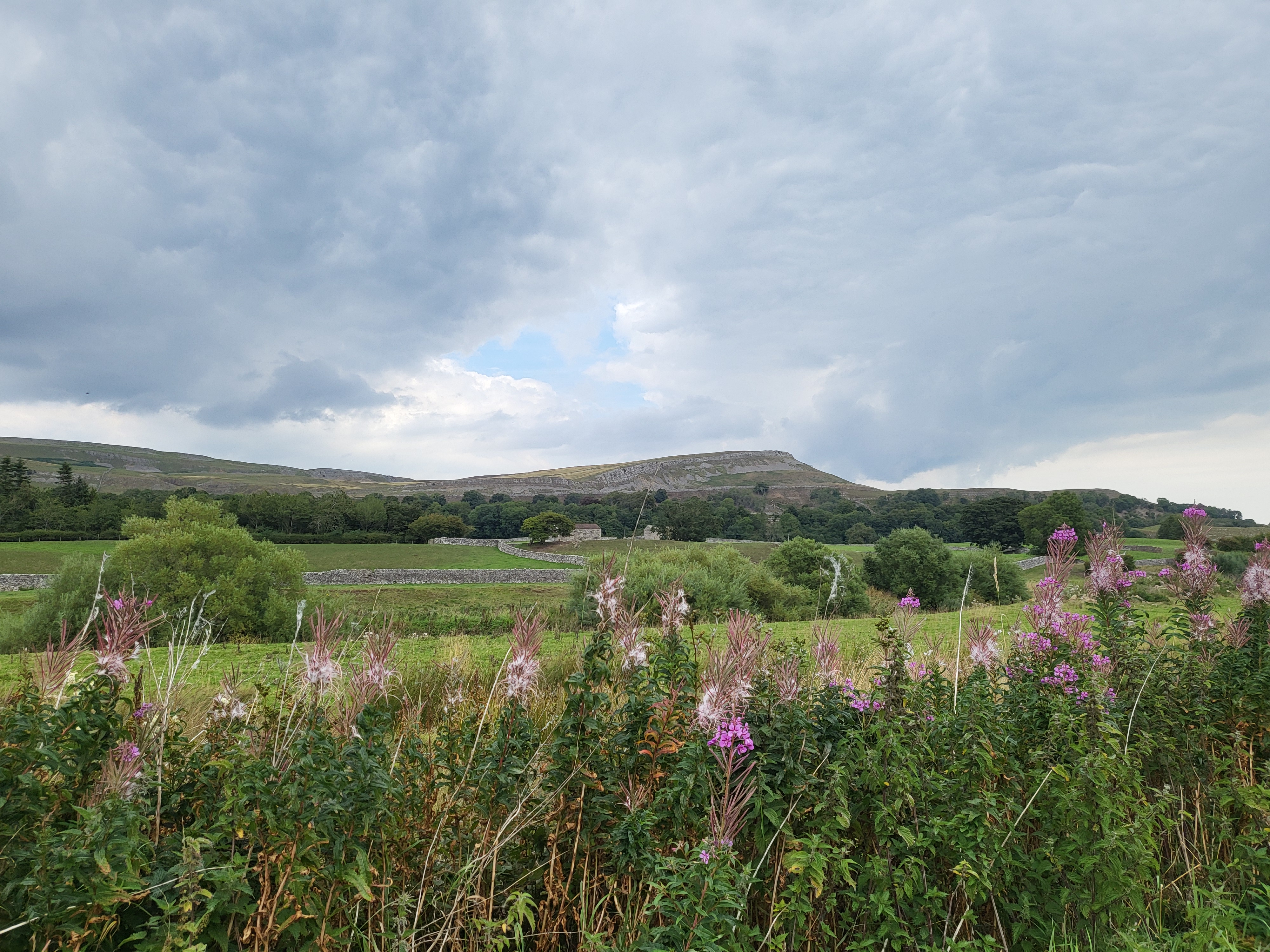 Wensleydale