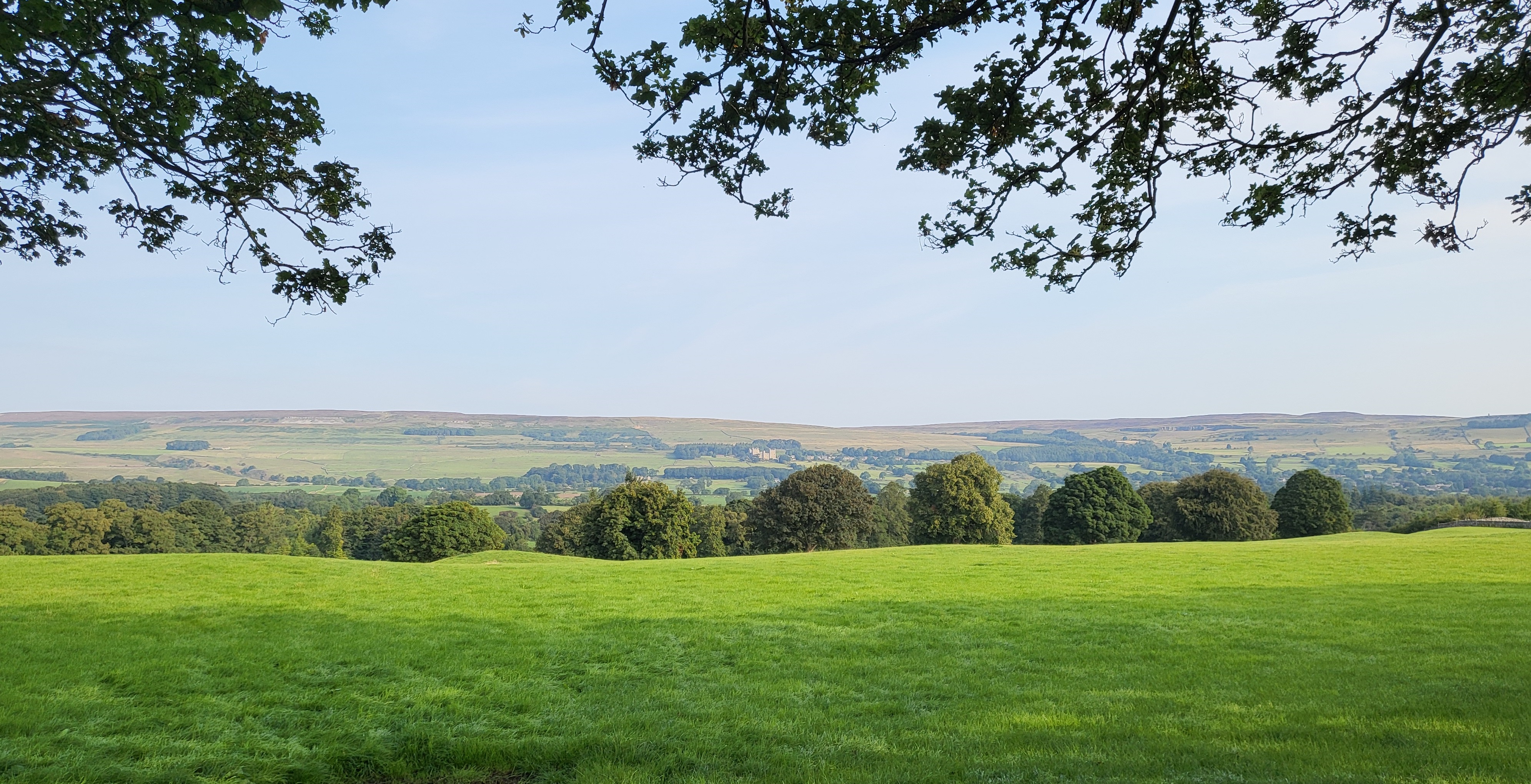 Wensleydale