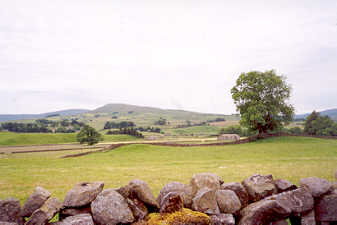 Wensleydale, in the Yorkshire Dales