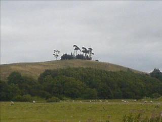 Wensleydale, in the Yorkshire Dales