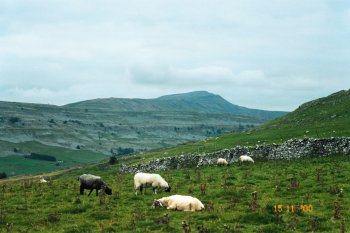 Whernside, viewed from near Ingleton