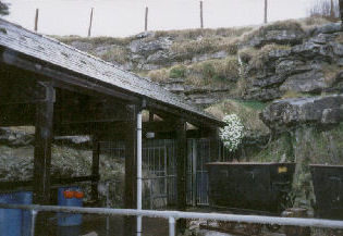 Entrance to White Scar Caves