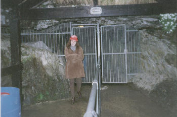 Entrance to White Scar Caves